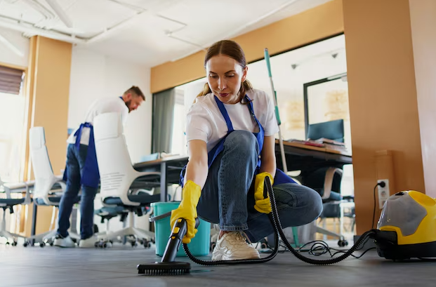 Professional Cleaning Services